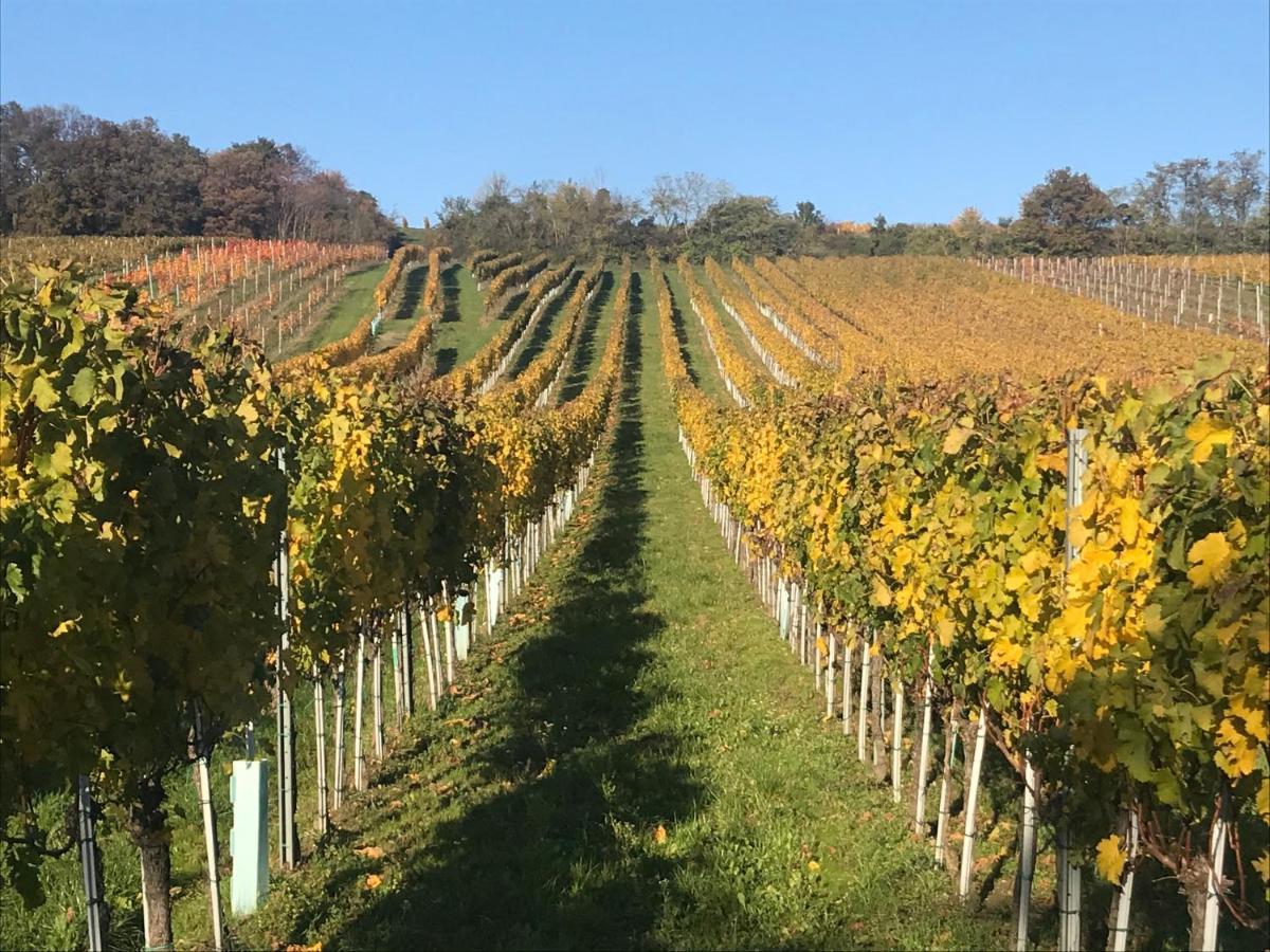Weingut & Gaestezimmer Edelmann Göttlesbrunn Exterior foto