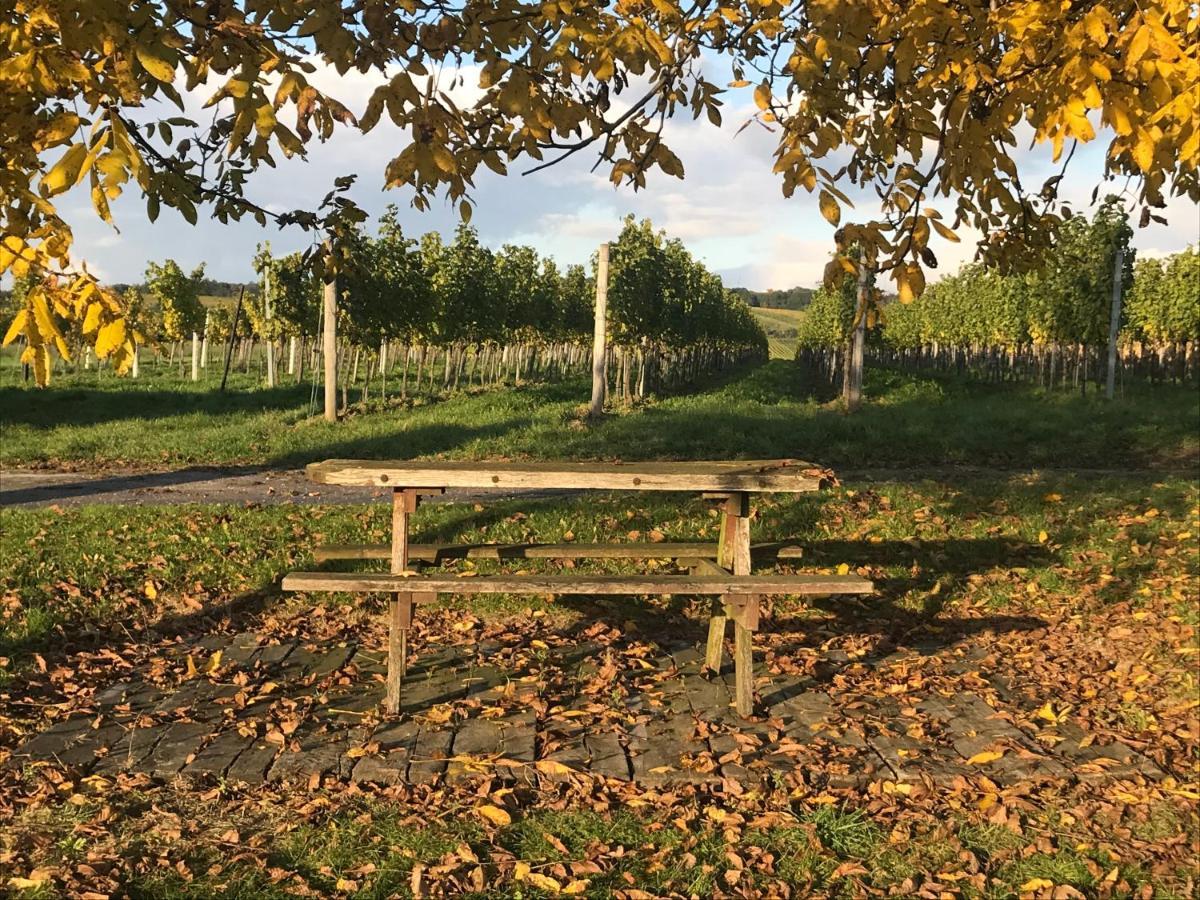 Weingut & Gaestezimmer Edelmann Göttlesbrunn Exterior foto