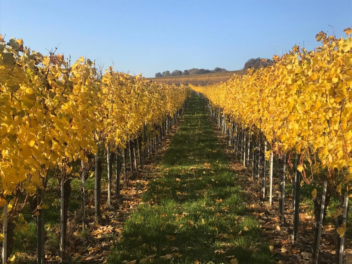 Weingut & Gaestezimmer Edelmann Göttlesbrunn Exterior foto