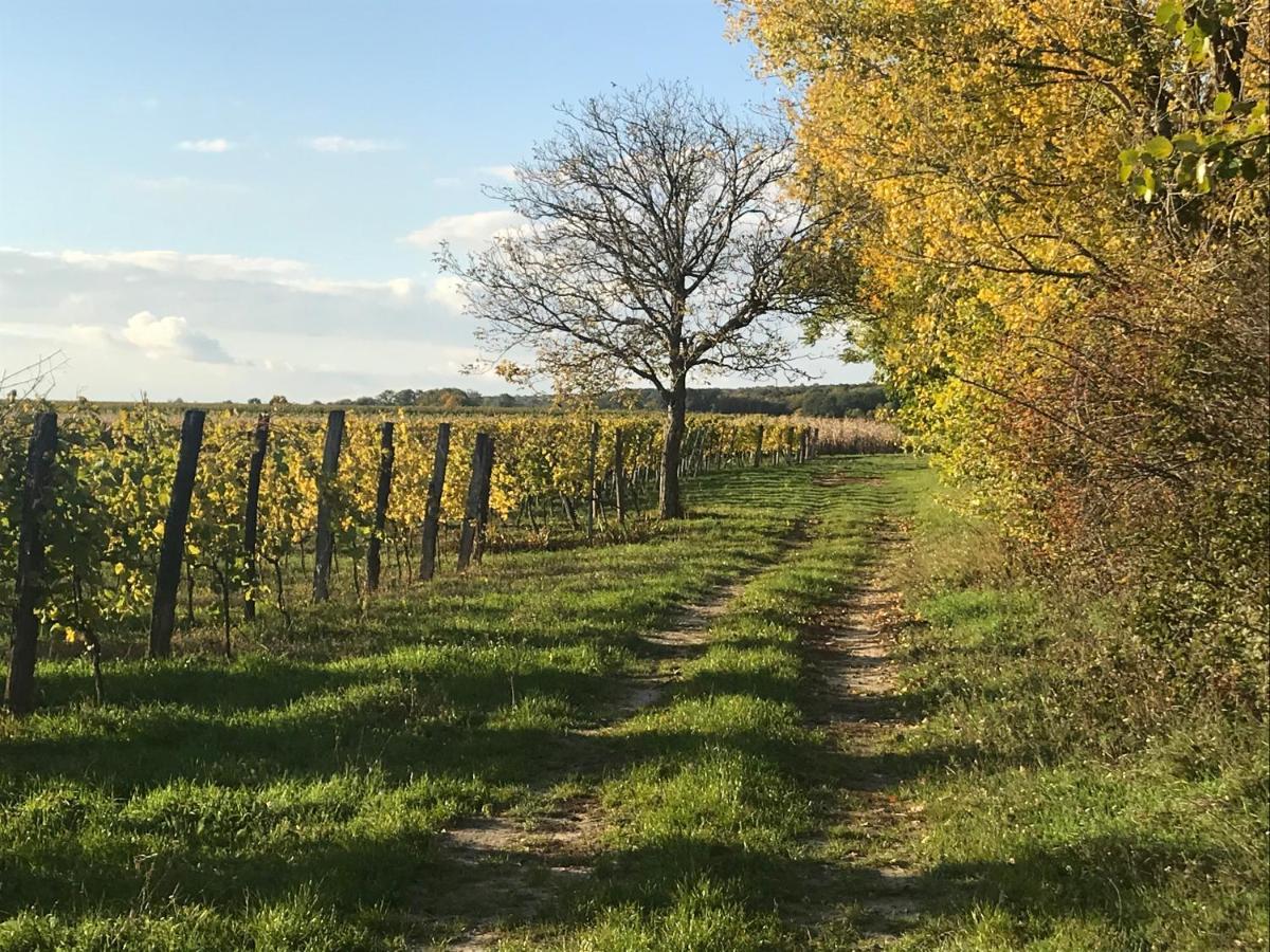 Weingut & Gaestezimmer Edelmann Göttlesbrunn Exterior foto